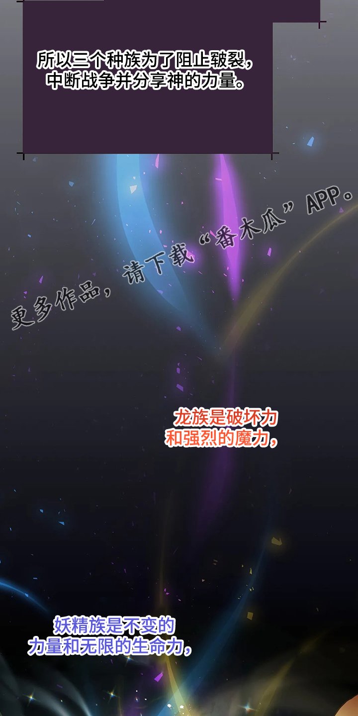 第26章：三大种族
