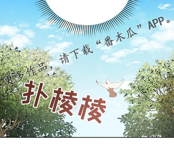 第29章：甩锅