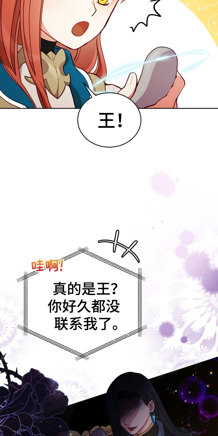 第3章：联系