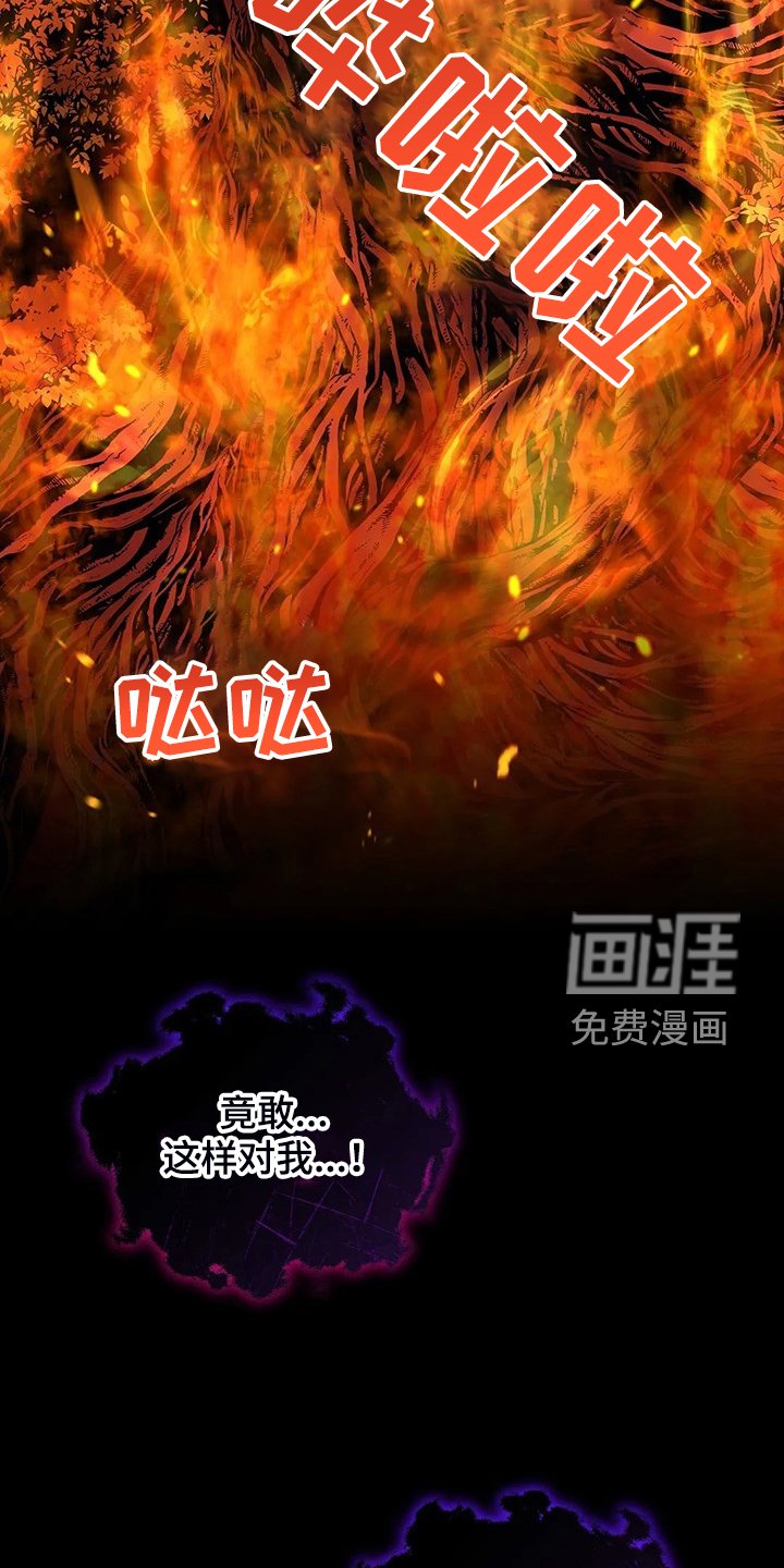 第36章：去往精灵界