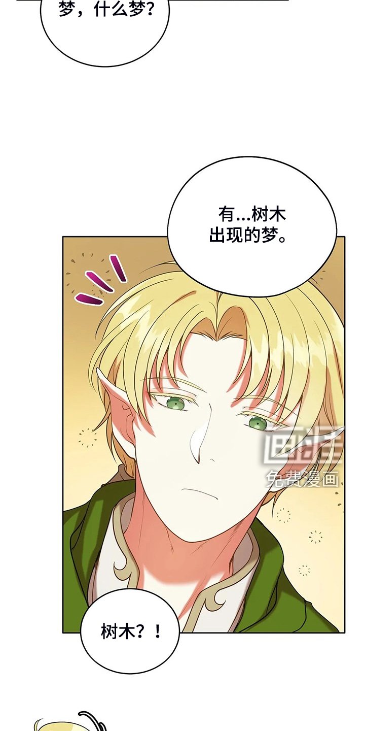 第36章：去往精灵界
