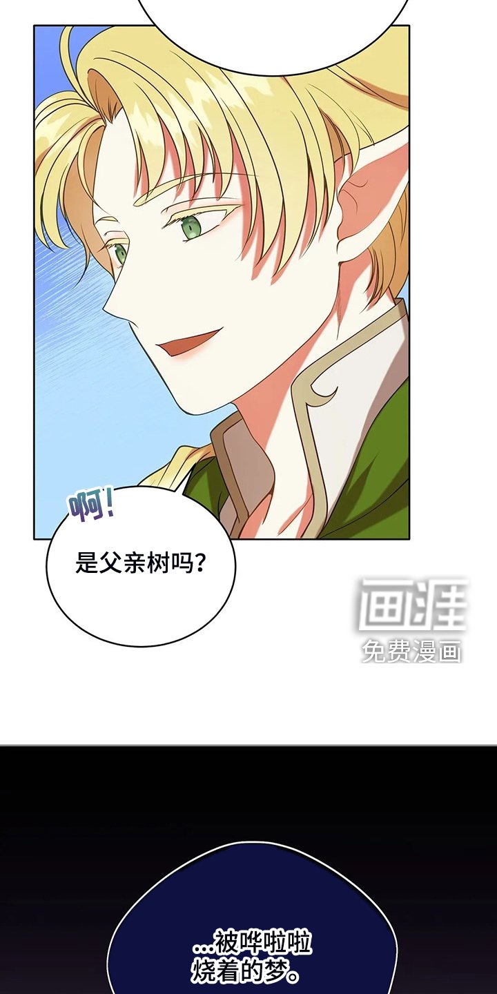 第36章：去往精灵界
