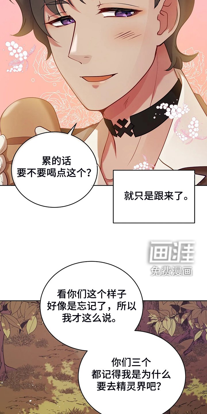 第36章：去往精灵界