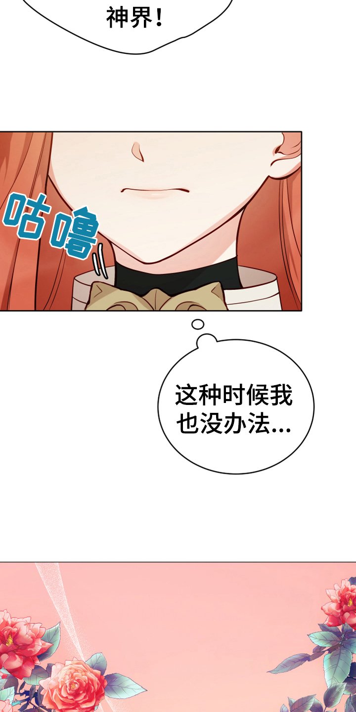 第4章：安慰