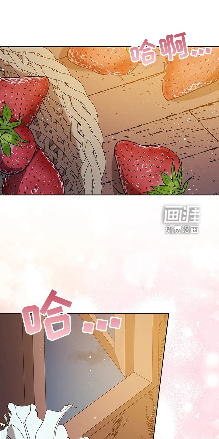 第40章：精灵界碎片