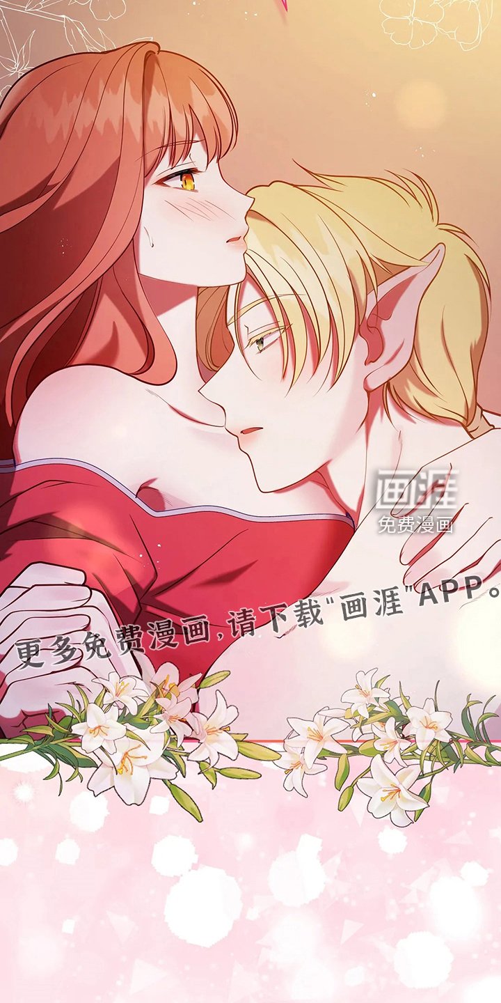 第40章：精灵界碎片