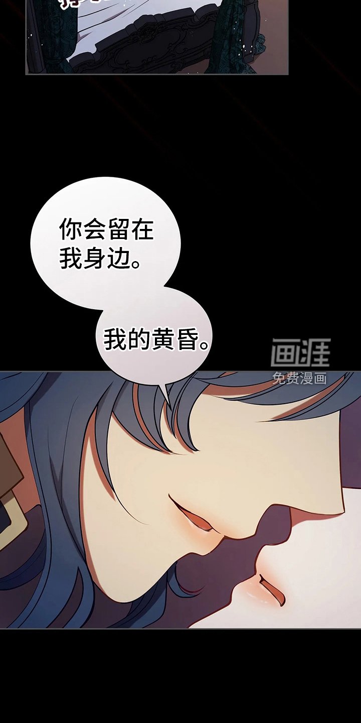 第40章：精灵界碎片