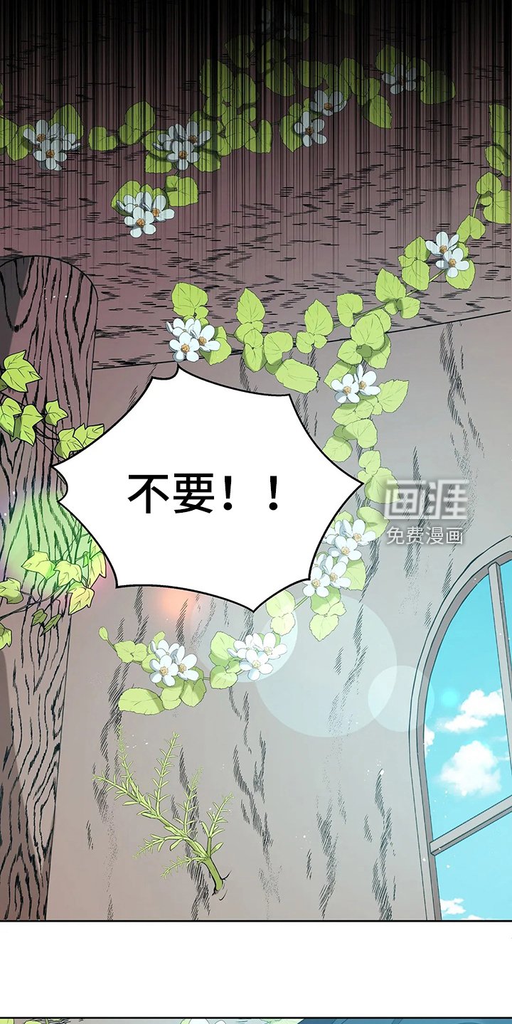 第40章：精灵界碎片
