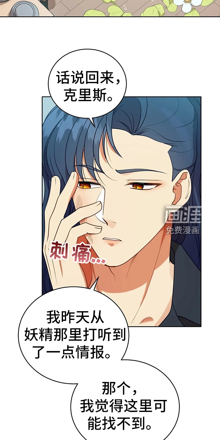 第40章：精灵界碎片