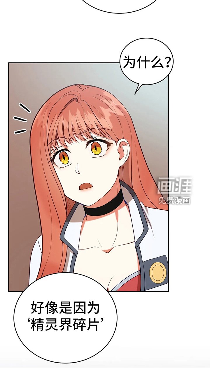 第40章：精灵界碎片
