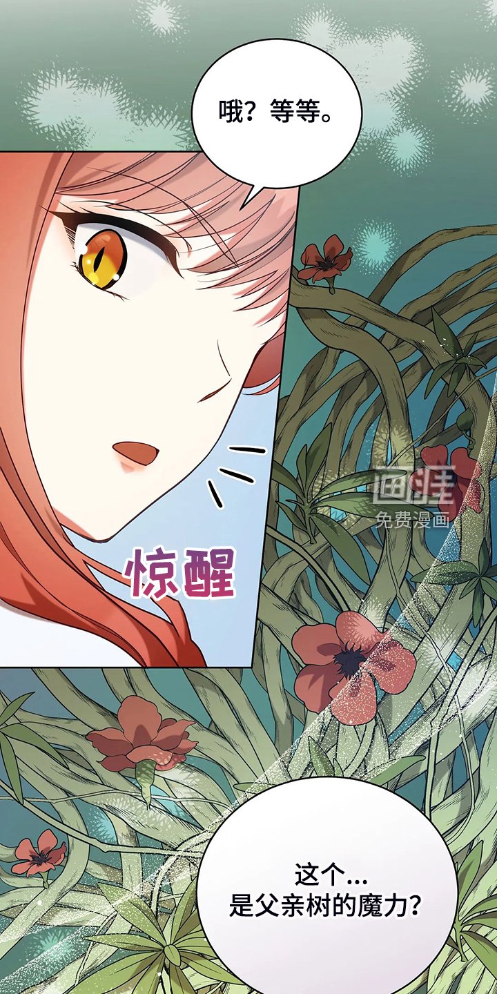 第43章：发生了什么