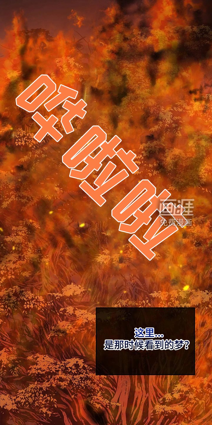 第46章：梦映照现实？