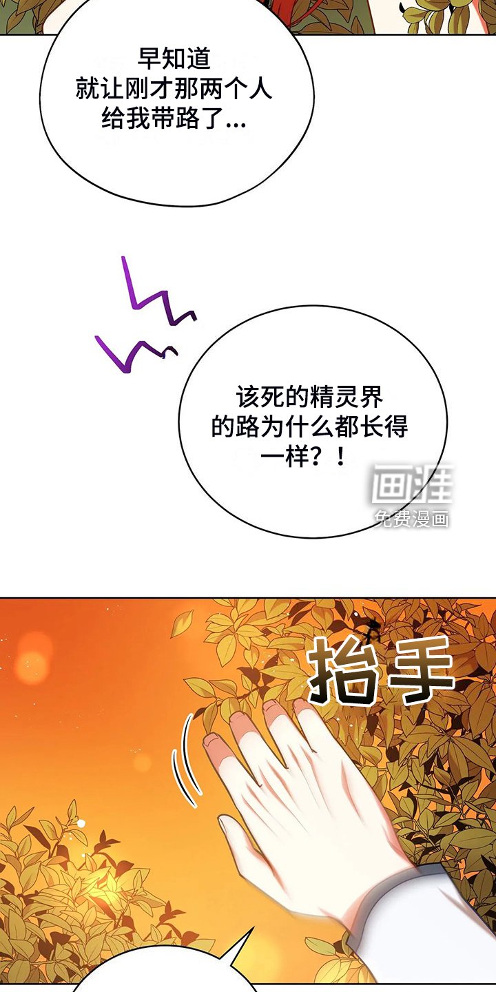 第47章：迷路了