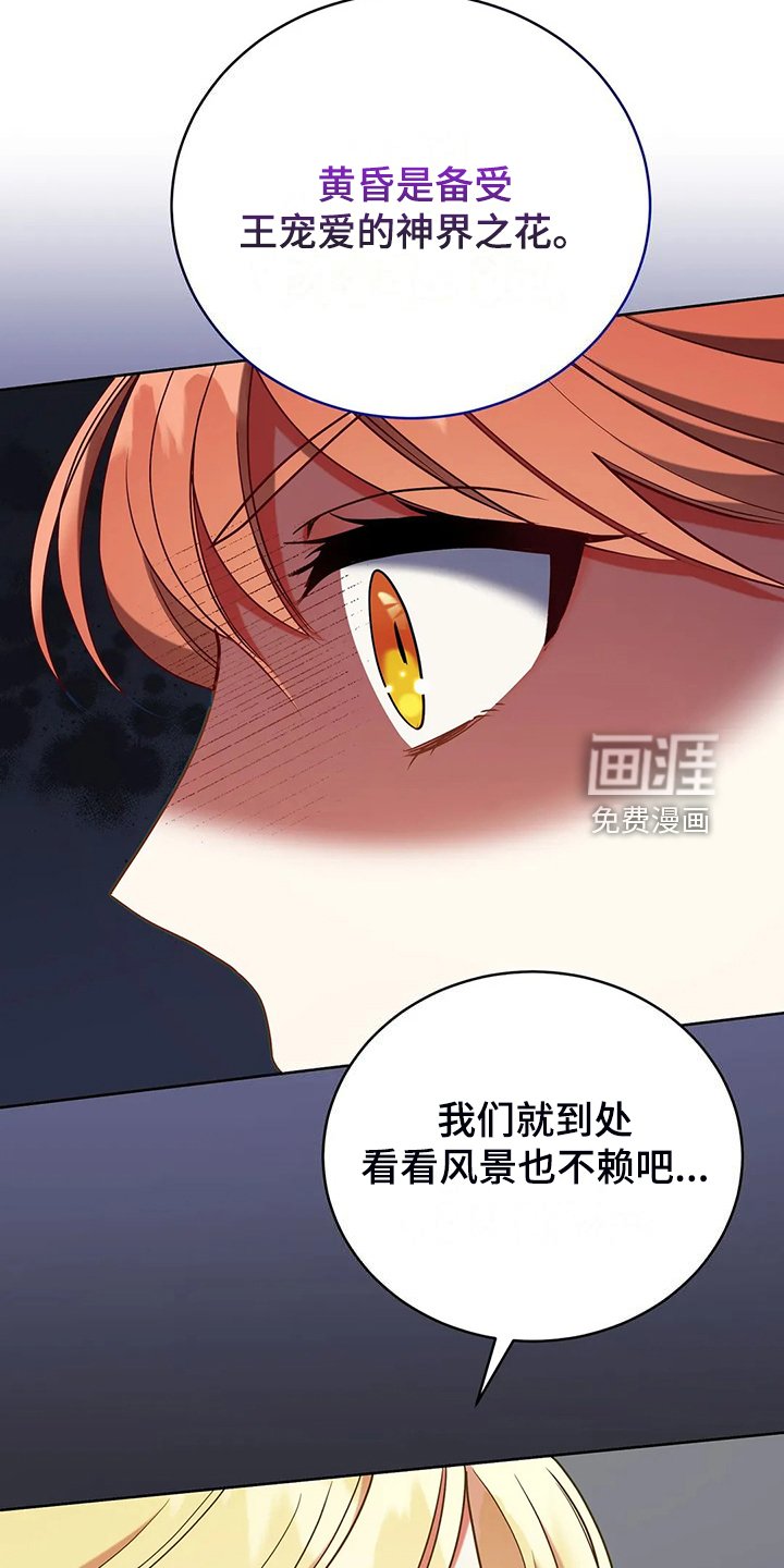 第47章：迷路了