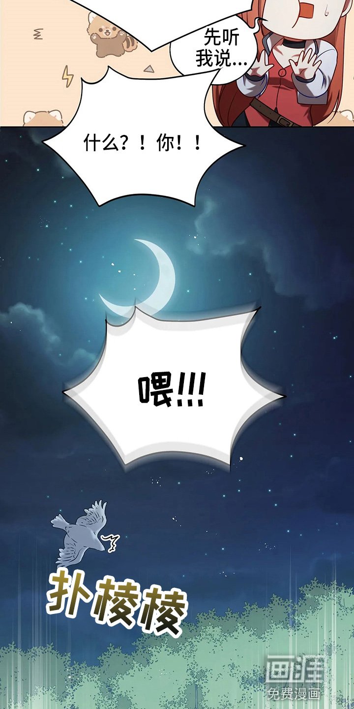 第51章：5分