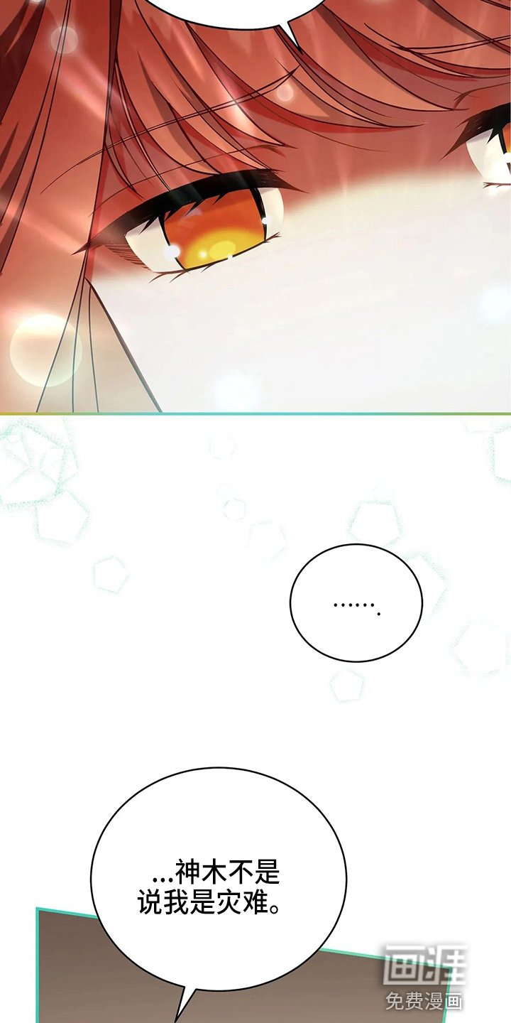 第52章：实验