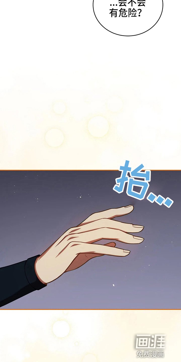 第52章：实验