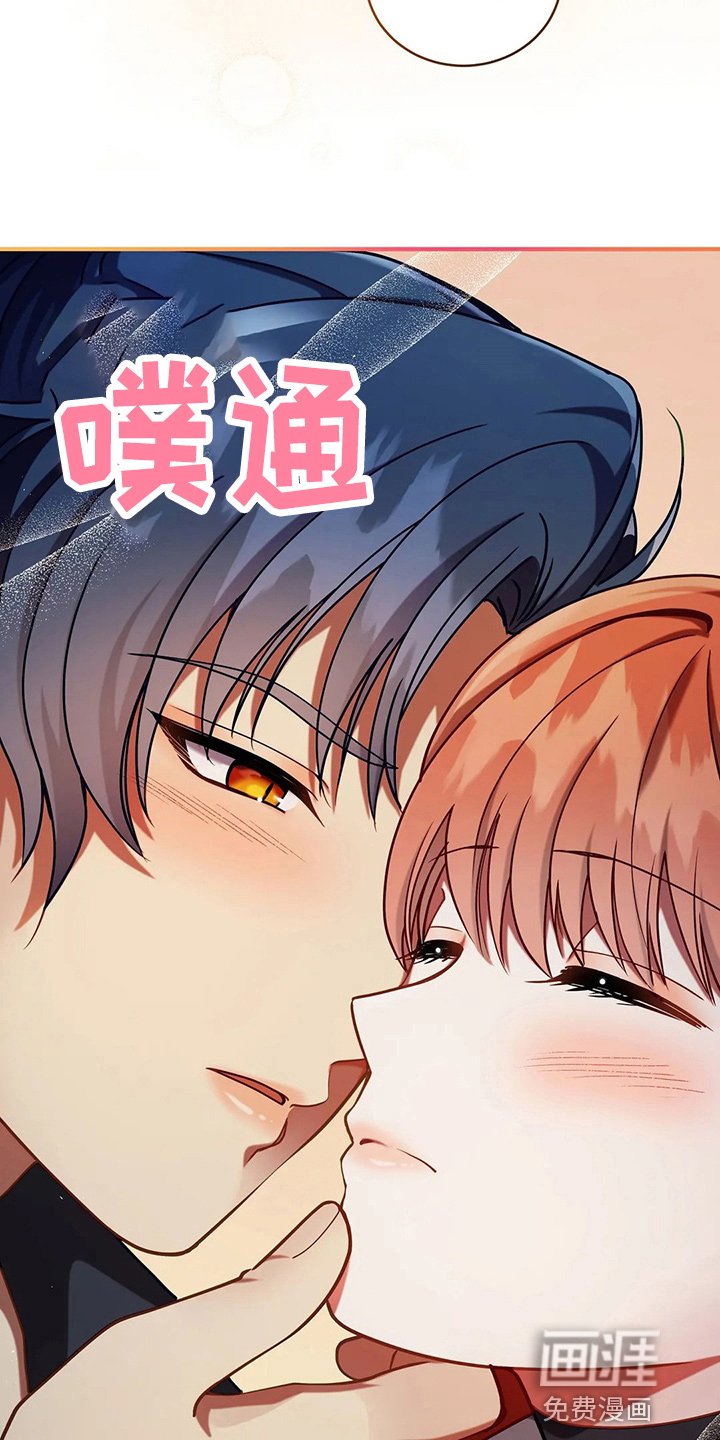第52章：实验