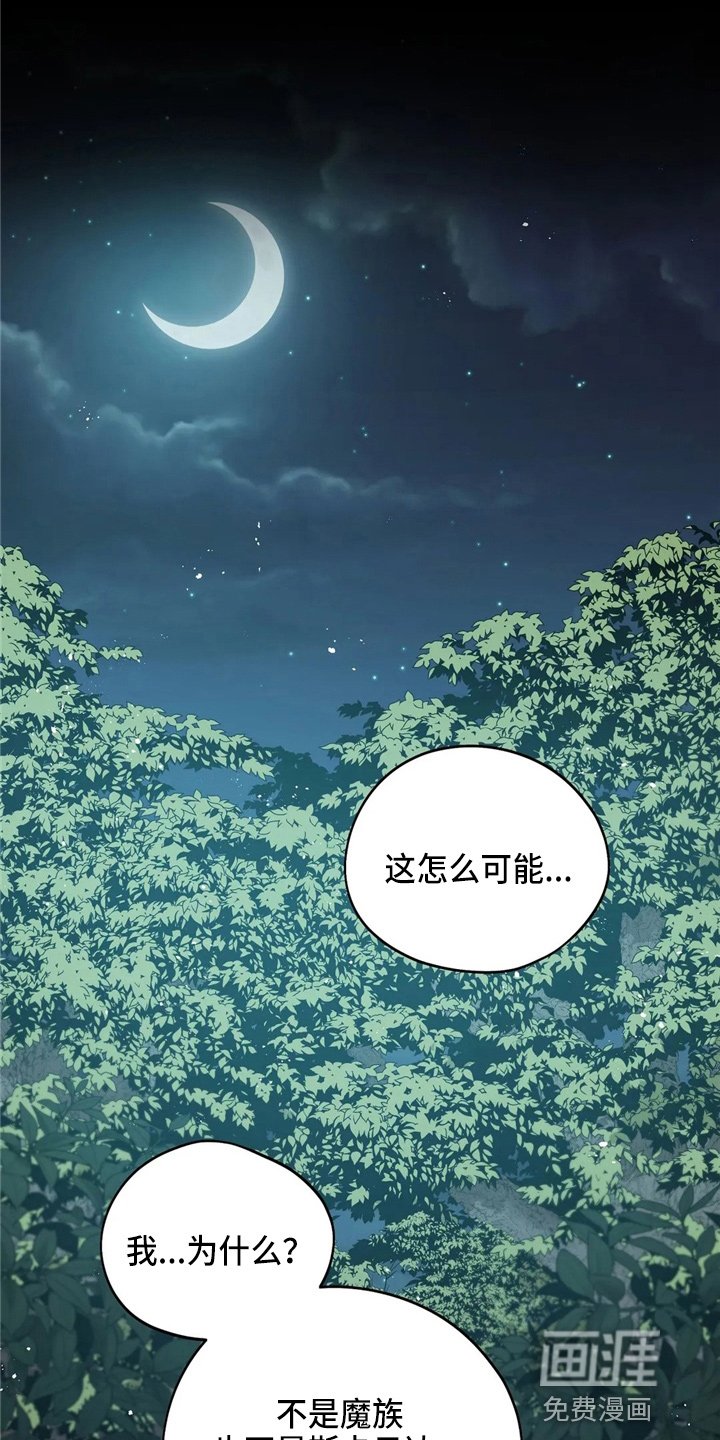 第54章：帮帮我