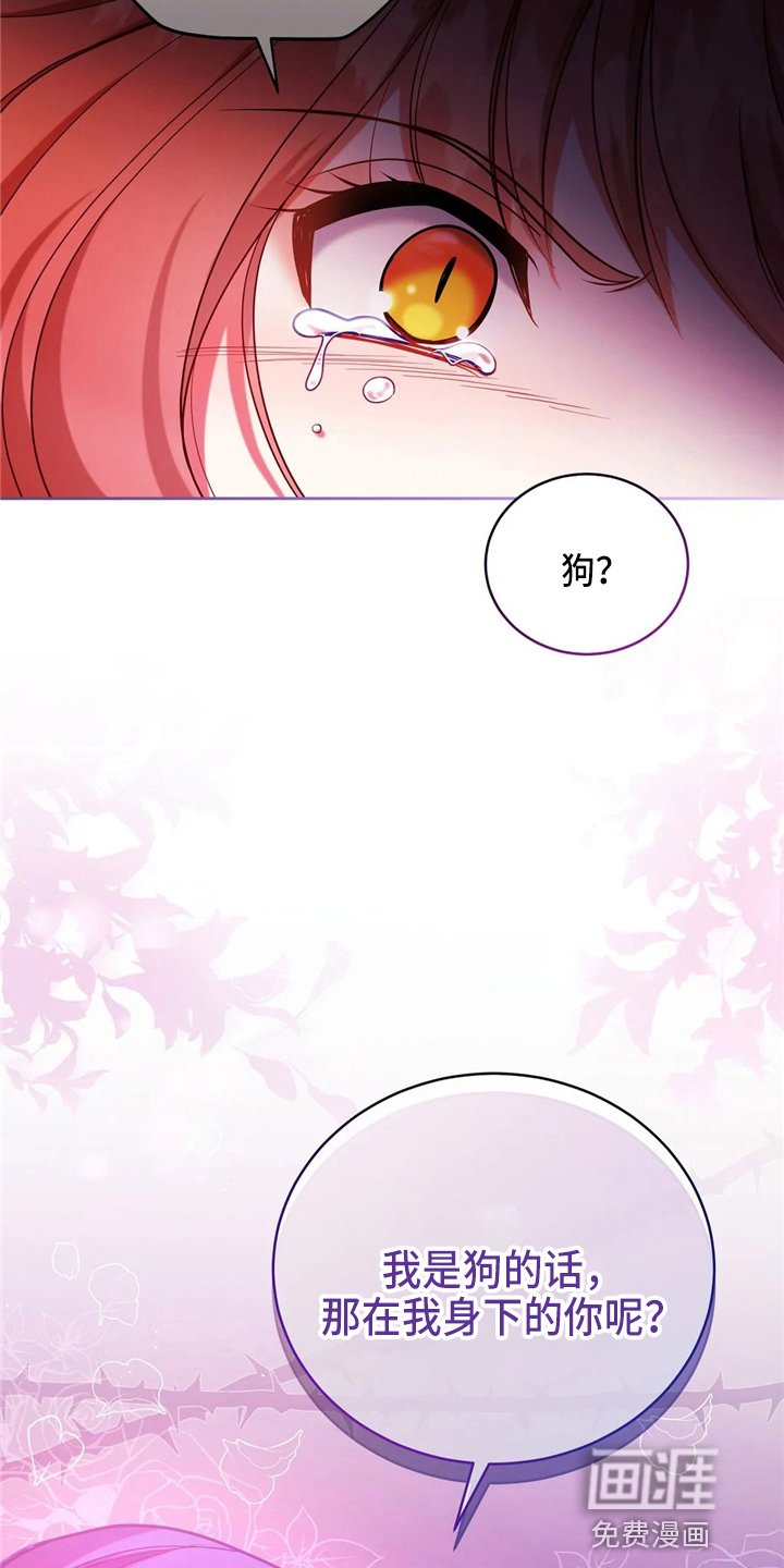第54章：帮帮我