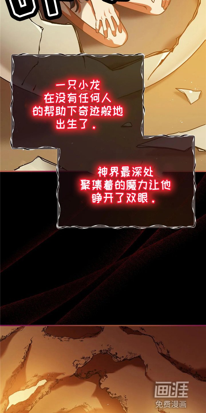 第58章：龙