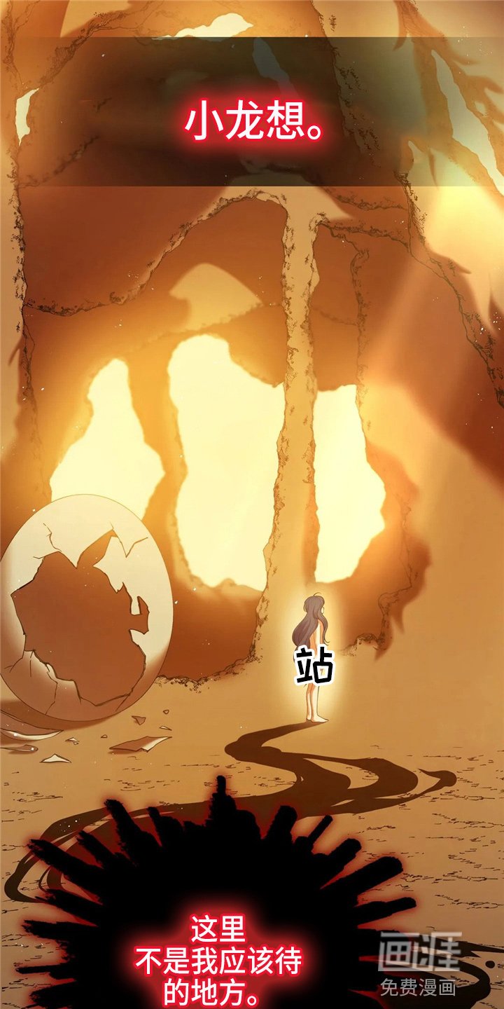 第58章：龙