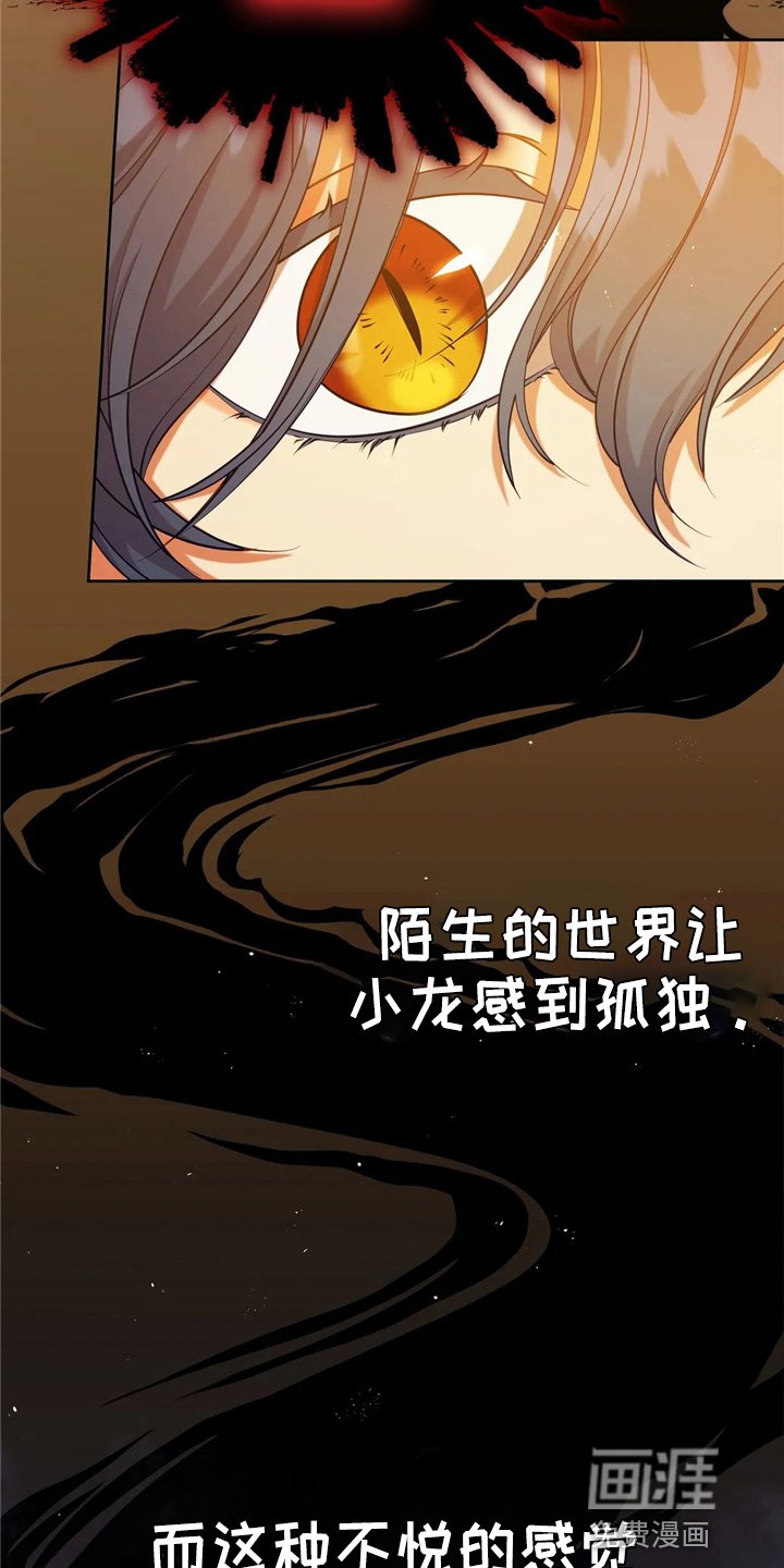 第58章：龙