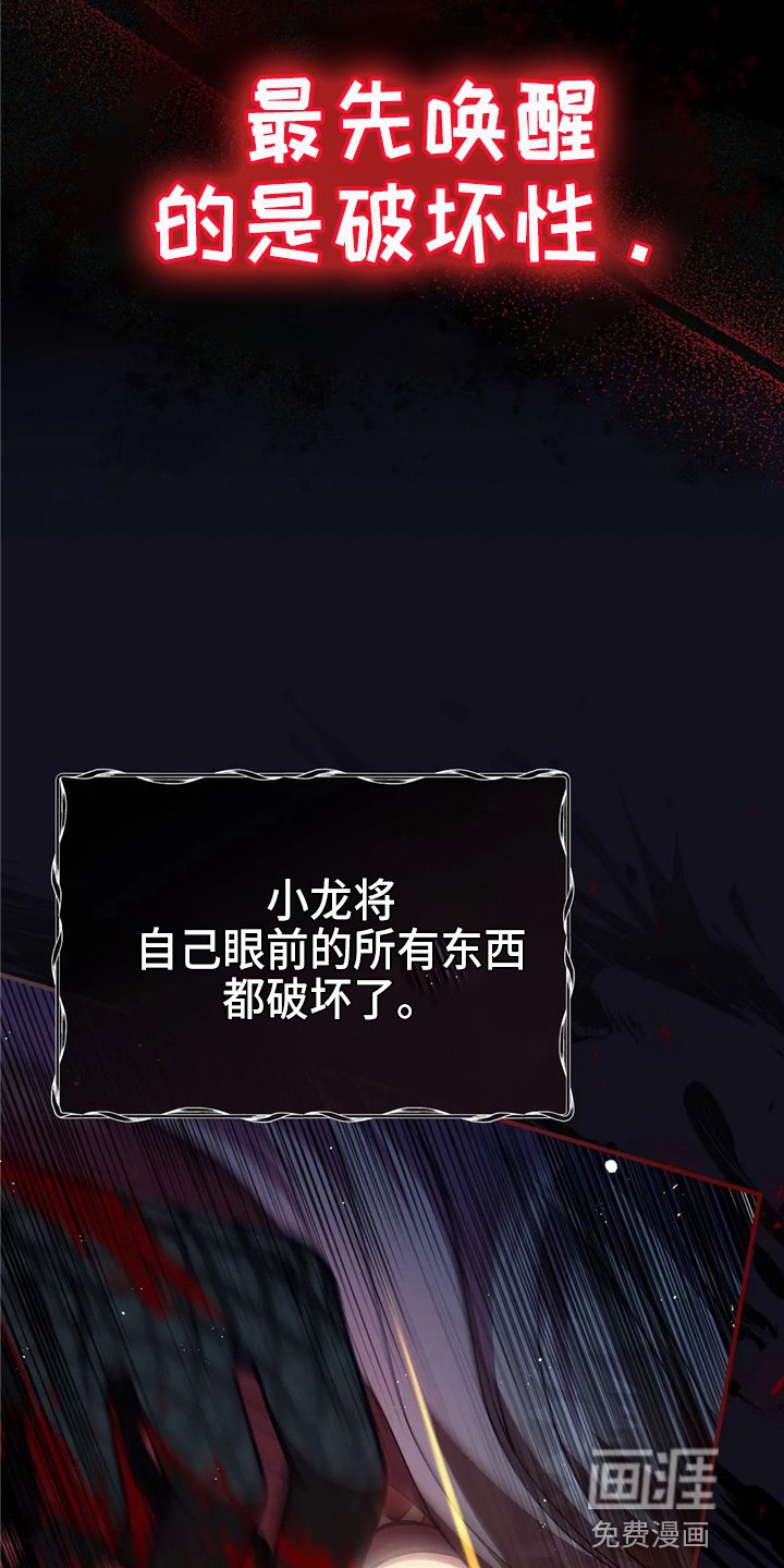 第58章：龙