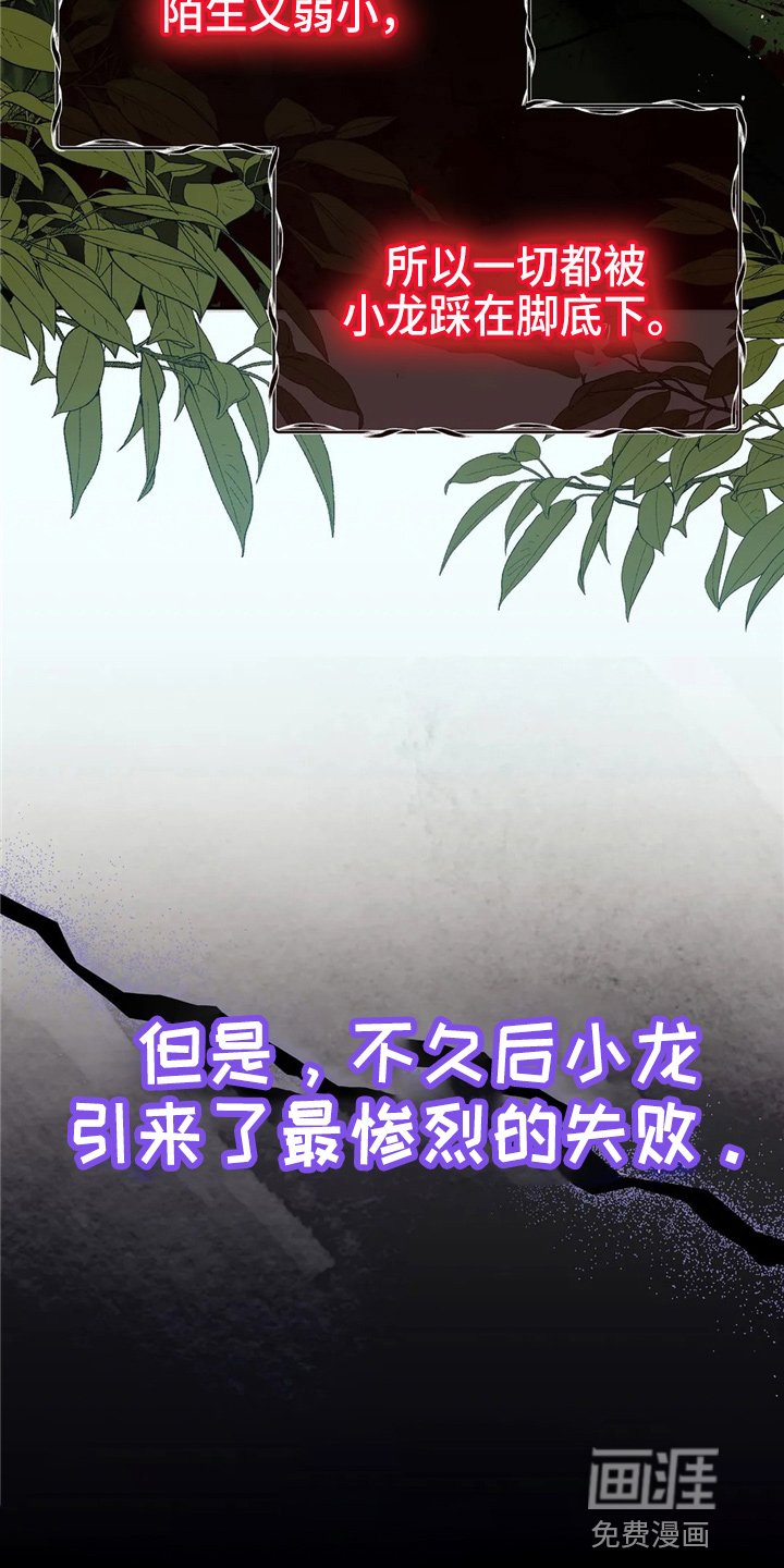 第58章：龙