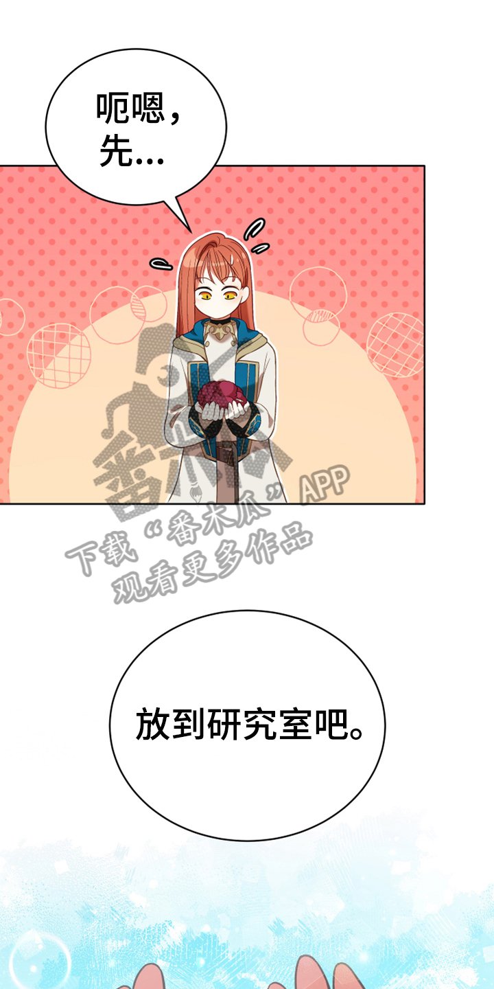 第6章：安置