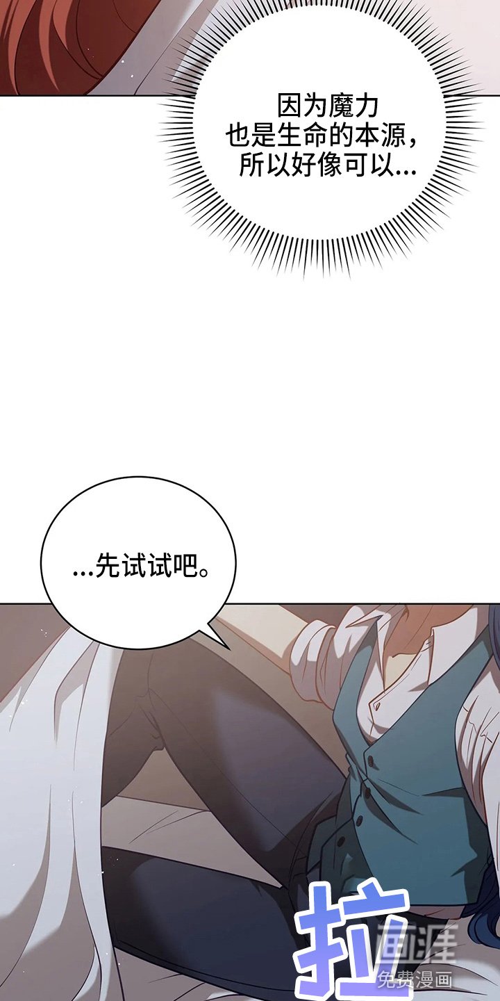 第61章：试试吧