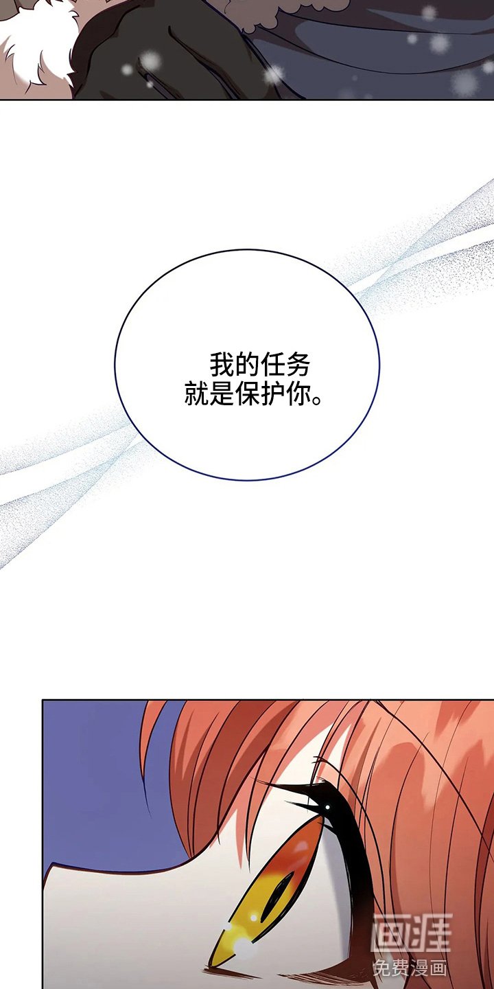 第61章：试试吧