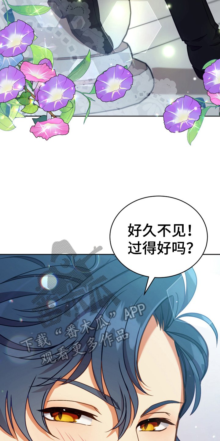 第7章：猜测