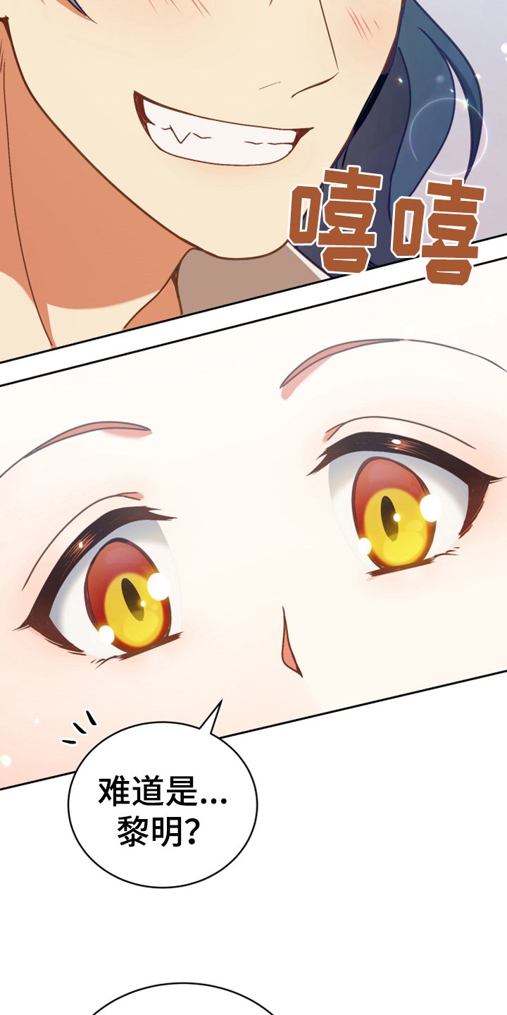 第7章：猜测