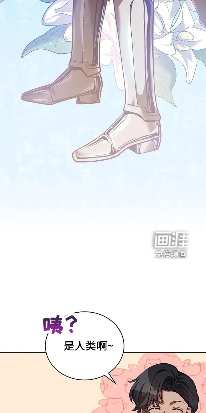 第76章：皲裂