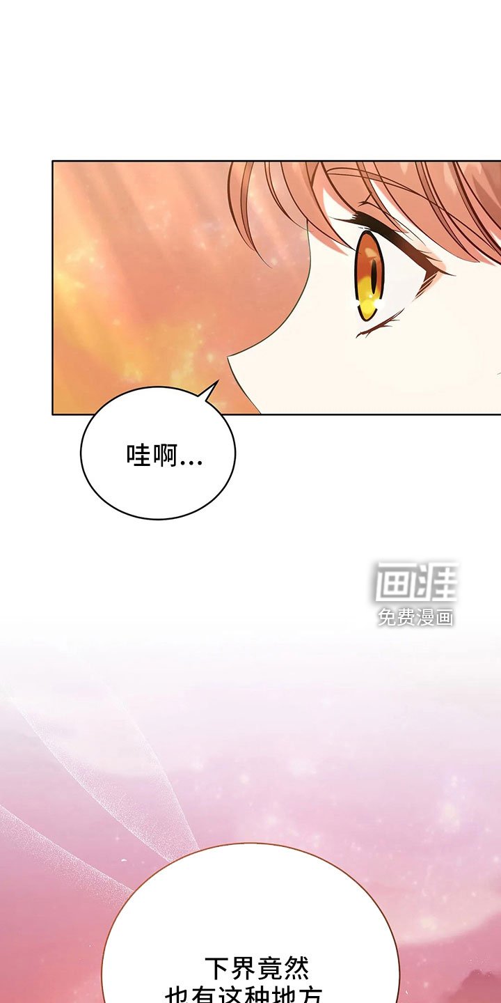 第85章：应该没事