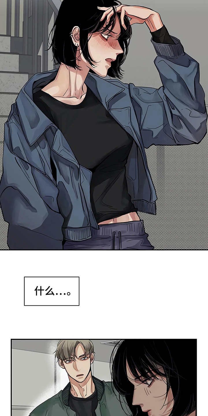 第13章：粉丝