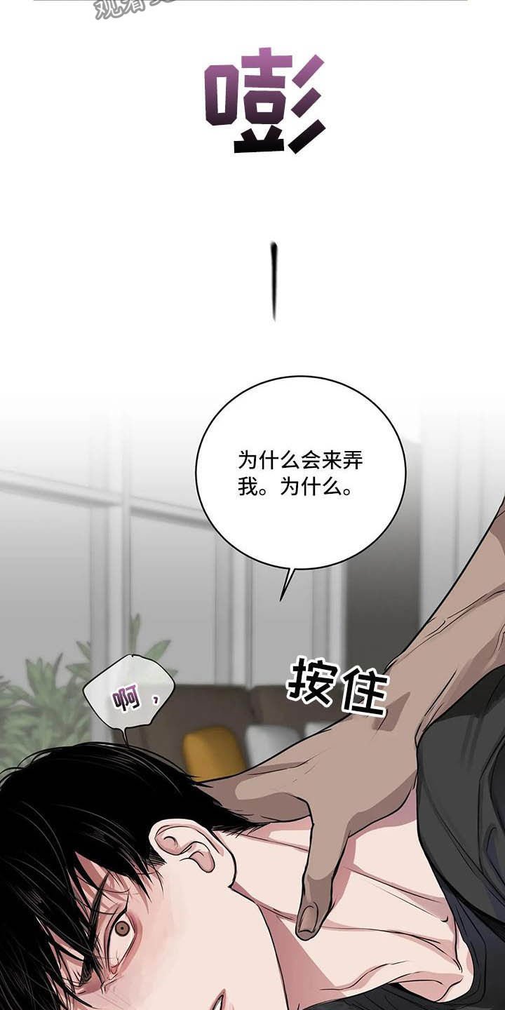 第25章：理想的朋友