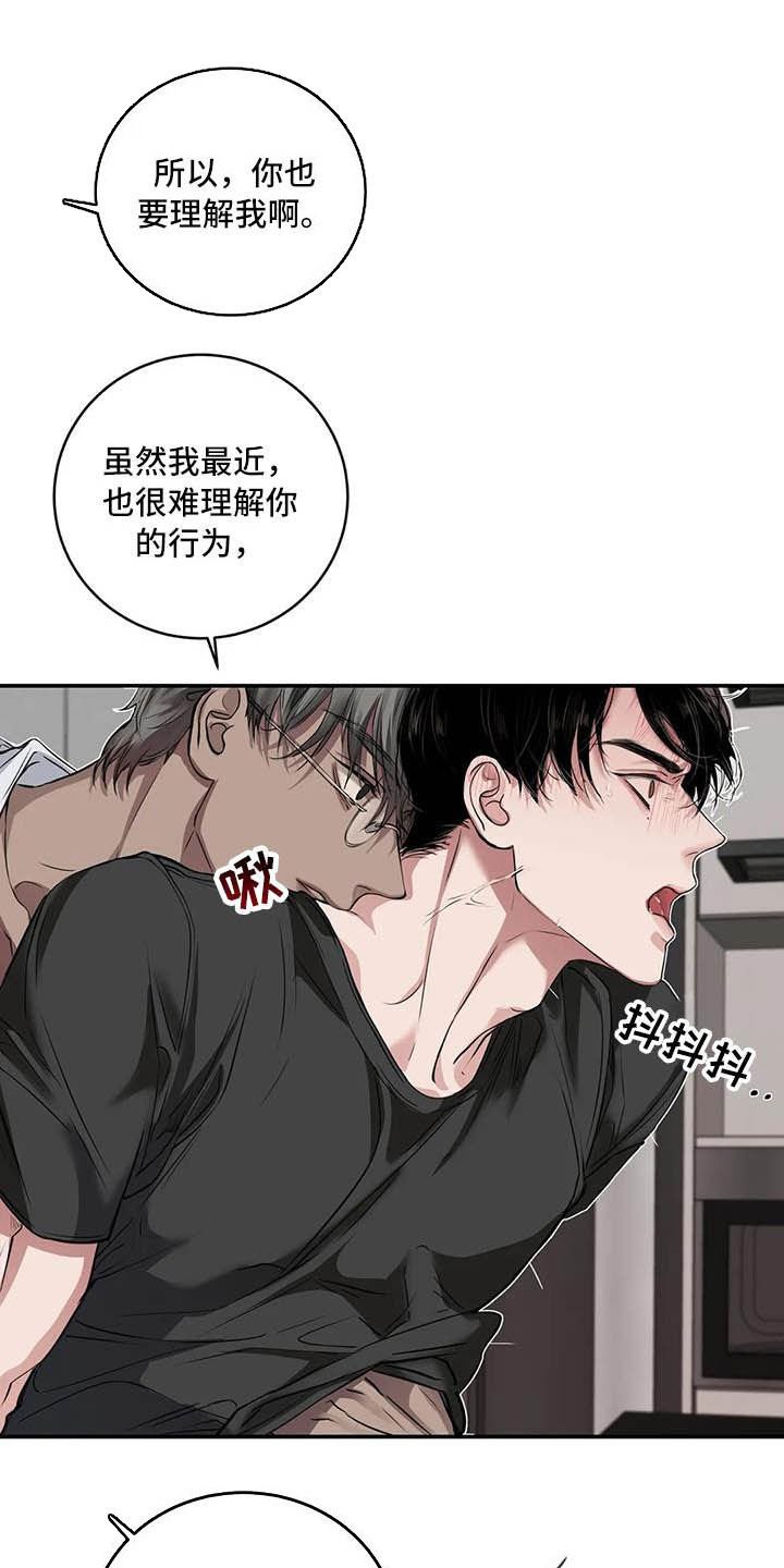 第26章：理解