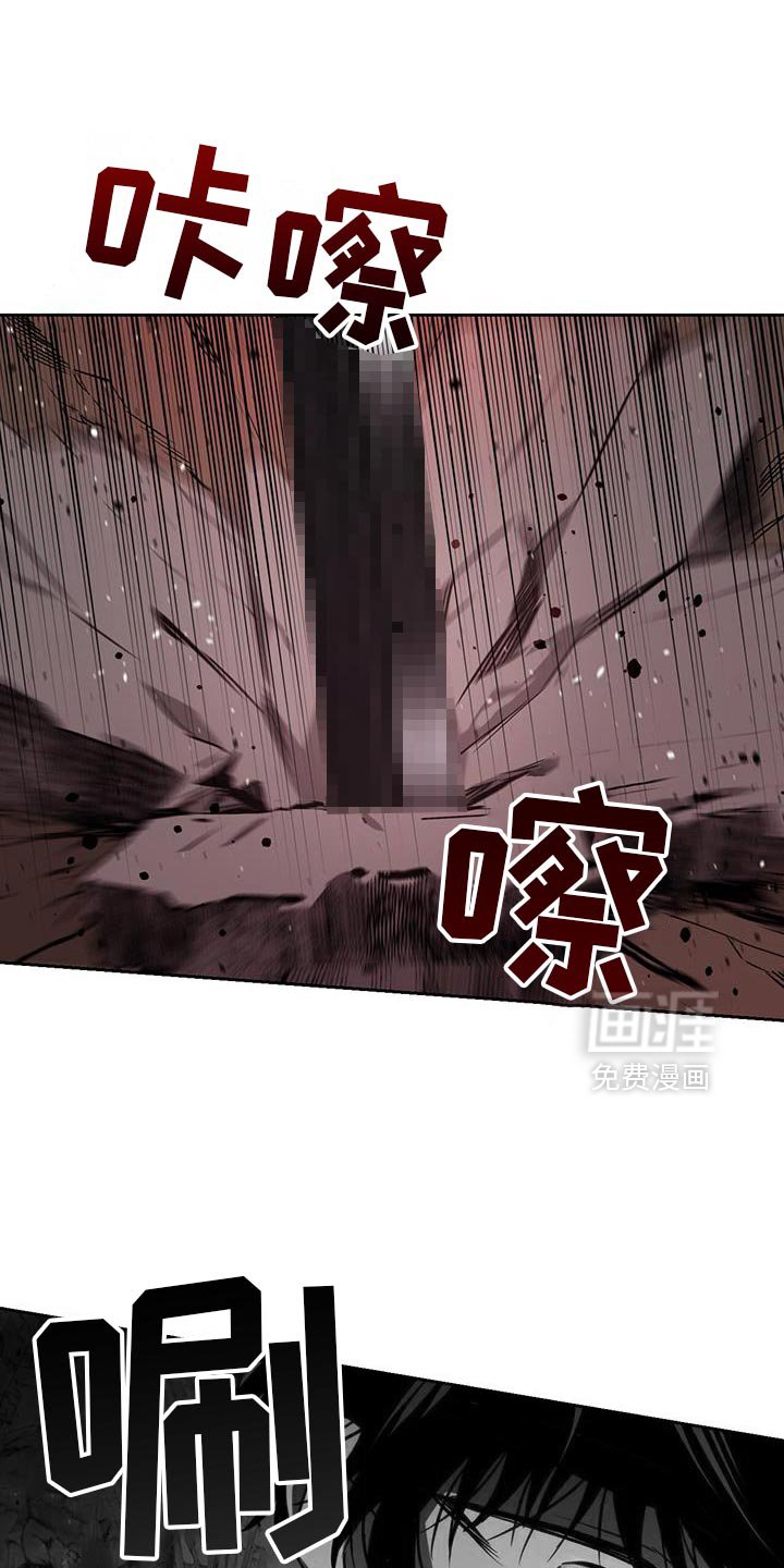 第106章：寻找其他办法