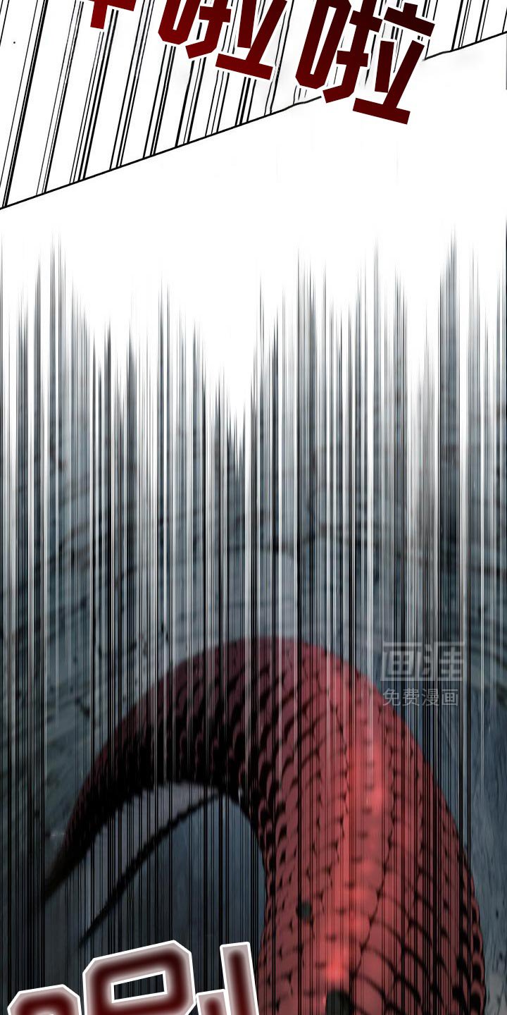 第106章：寻找其他办法