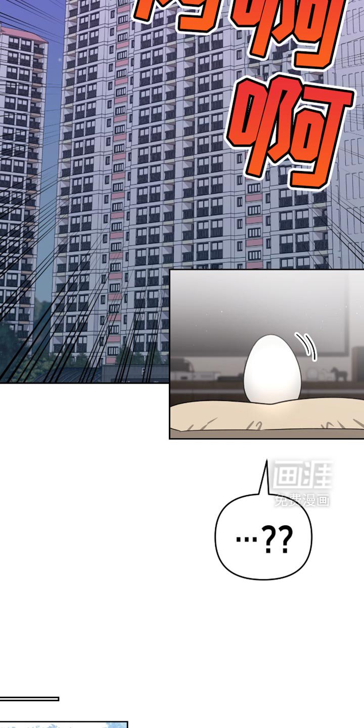 第137章：做了什么梦