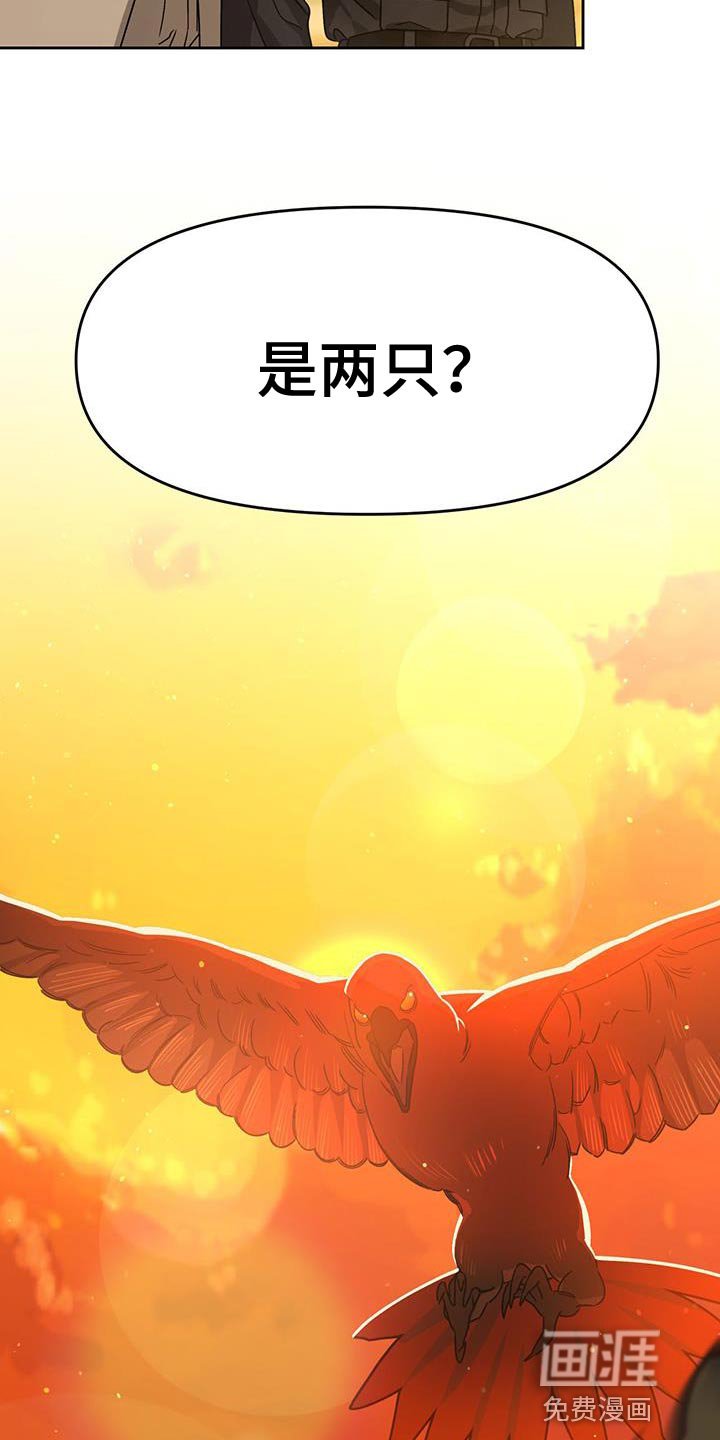 第54章：袭击