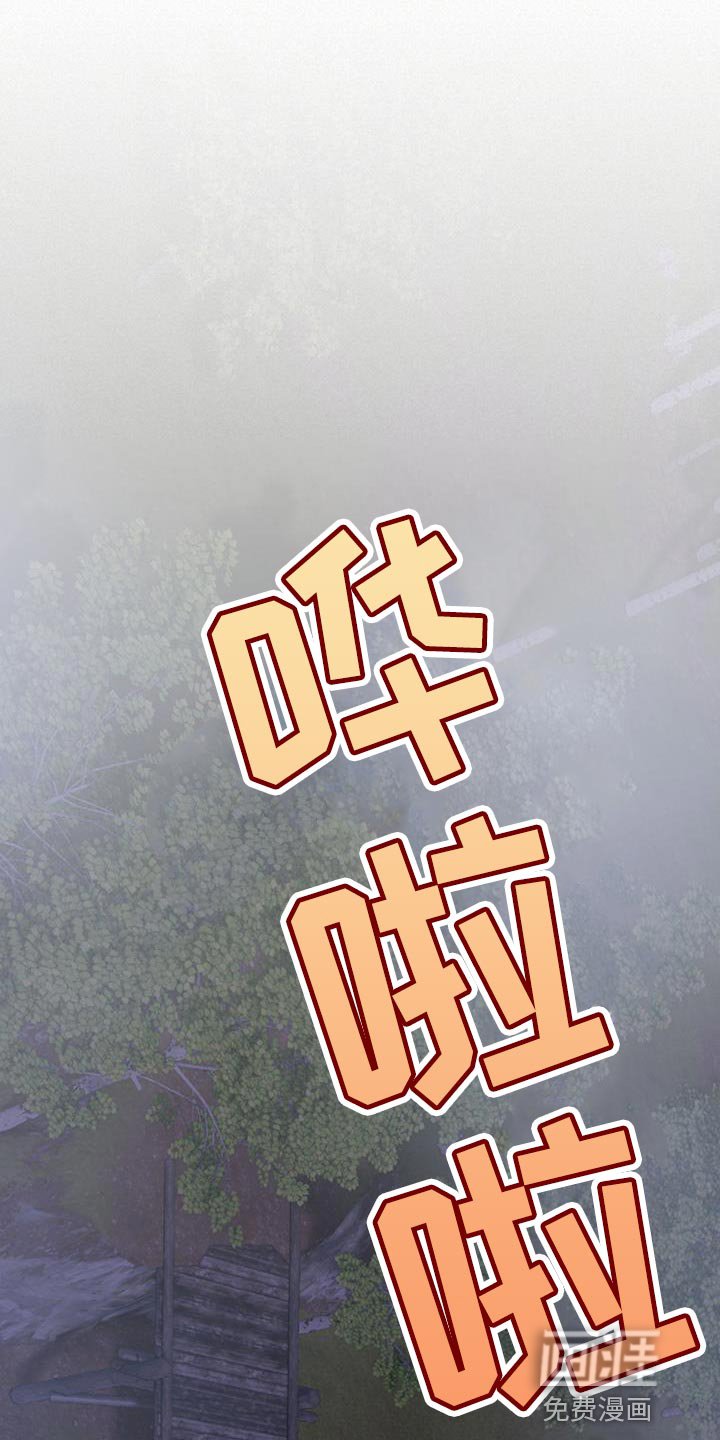 第63章：再次出现
