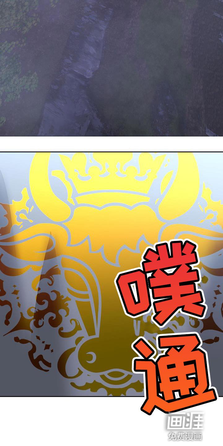 第63章：再次出现