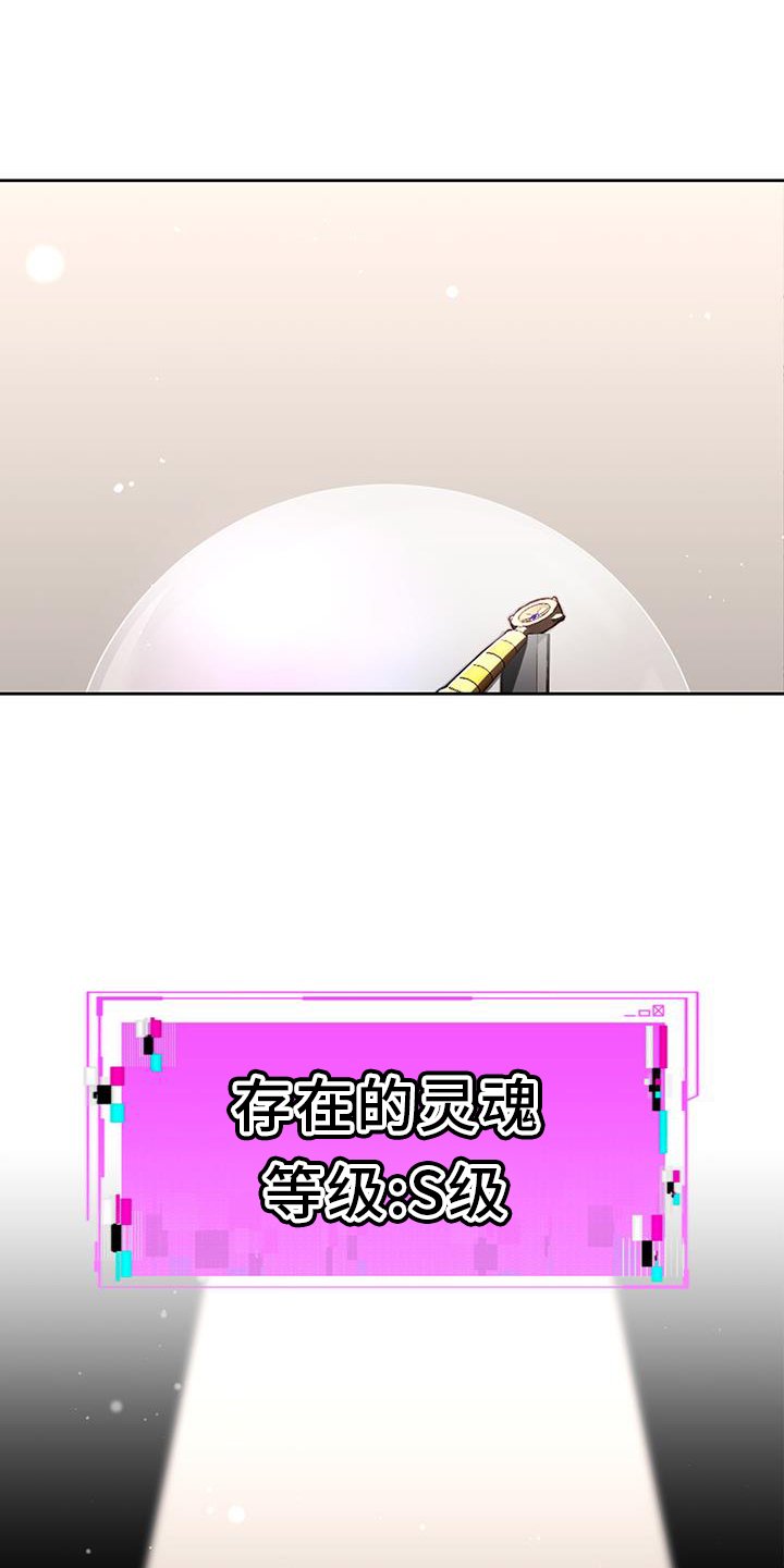 第77章：灵魂