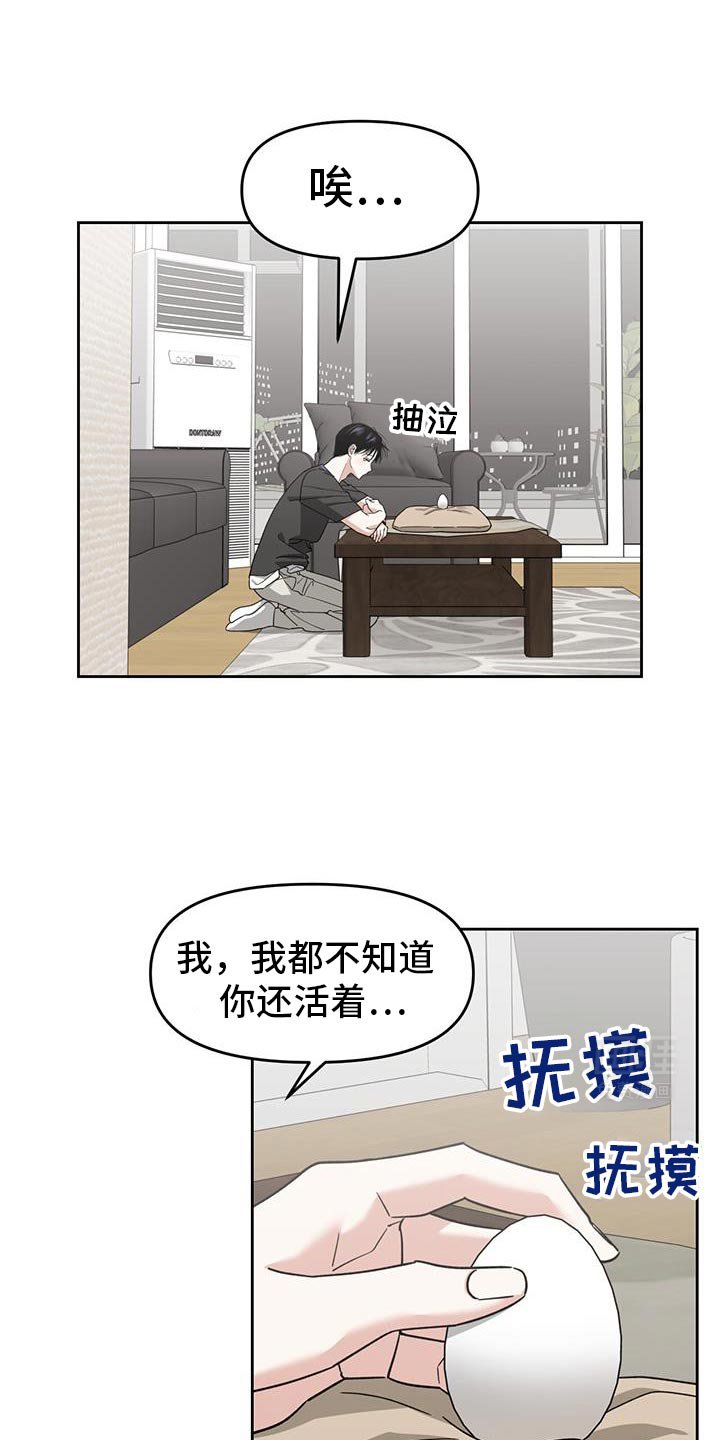 第85章：维护和平