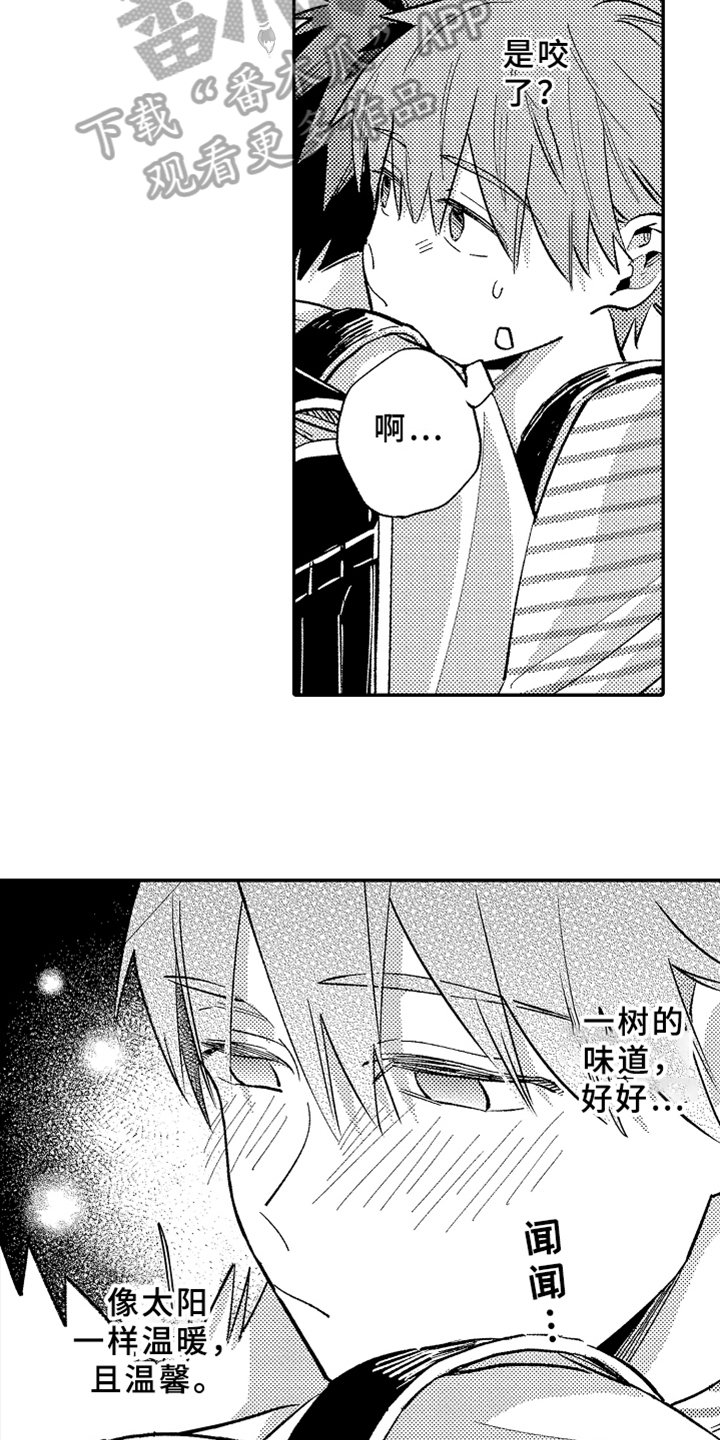 第14章：暗恋
