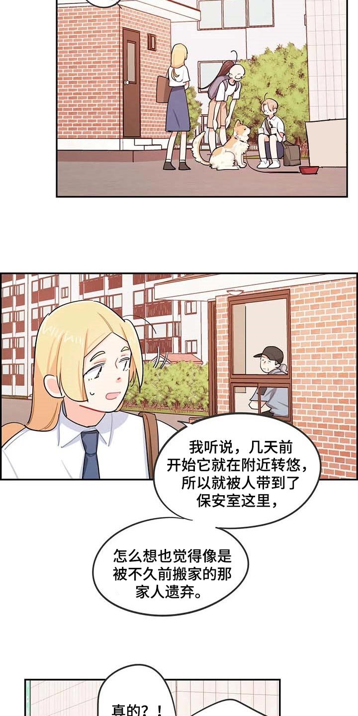 第38章：遗弃的狗狗