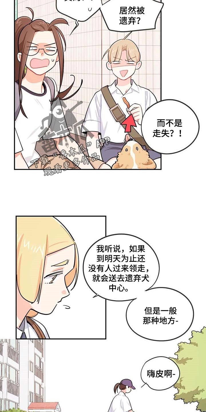 第38章：遗弃的狗狗